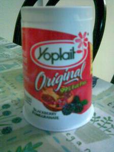 Yogurt