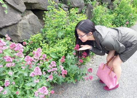 There are so many flower bushes everywhere in Seattle!!! (cr: Lucy)