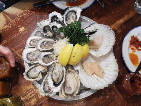 6-Oysters