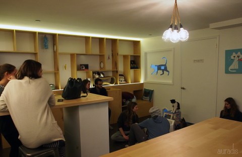 meow parlour cat cafe