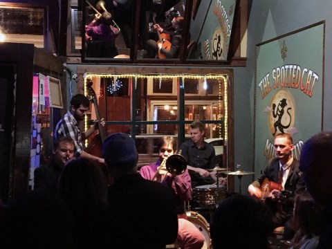 18-spotted-cat-jumbo-shrimp