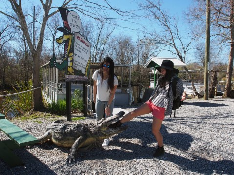 Not a real gator obviously